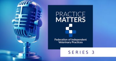 FIVP announces third series of Practice Matters 